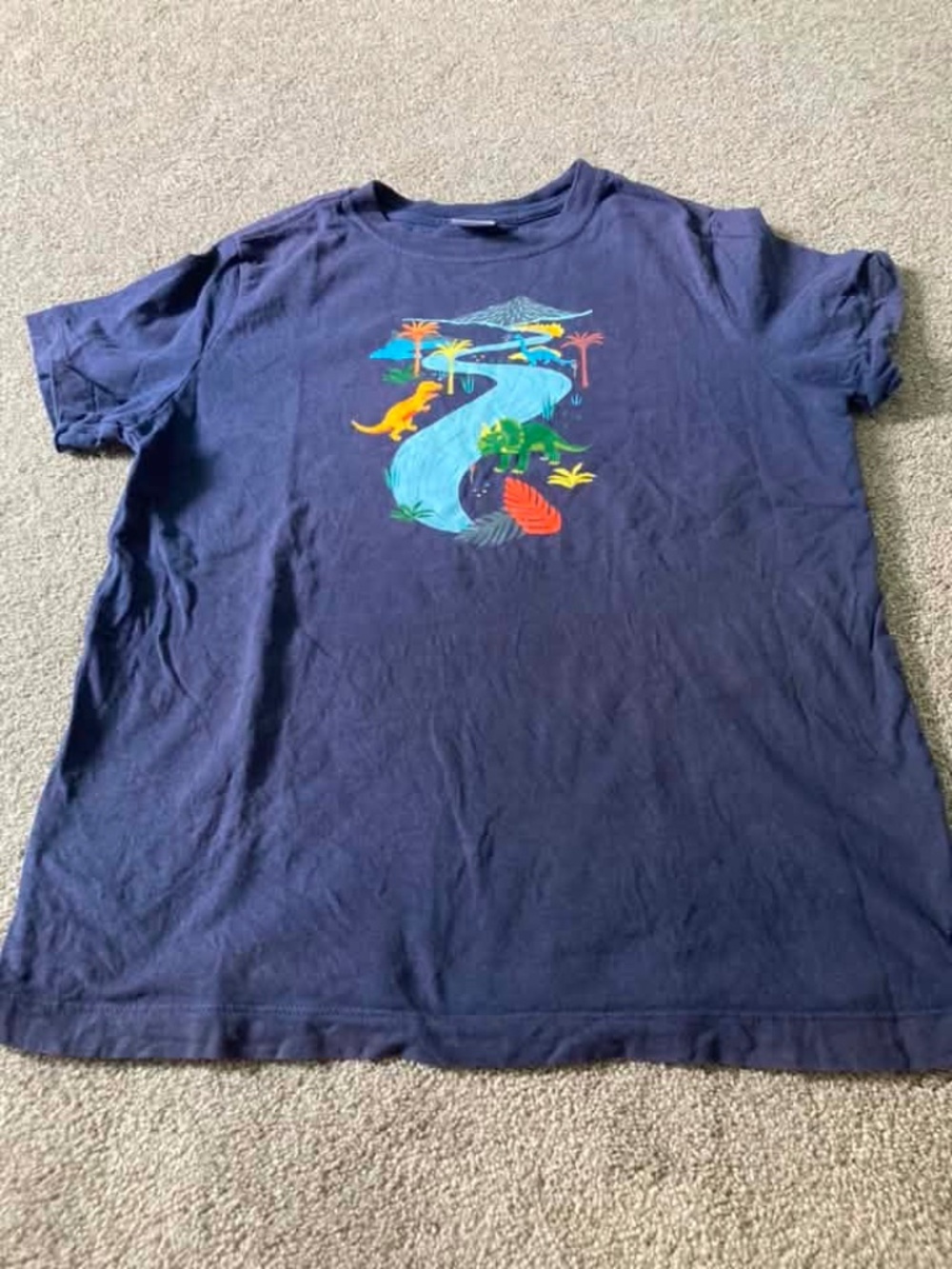 Hanna Andersson tee shirt Size 12